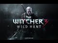 Предыстория The Witcher 3: Wild Hunt 