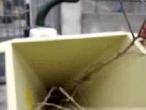 BIOTRITURATORE NEGRI R225 HONDA SU MOTOCARRIOLA CINGOLATA GIOR550 - da Giordano Cairo