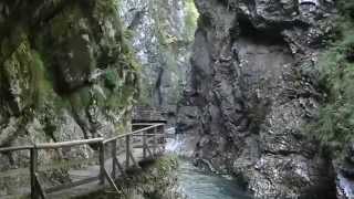 preview picture of video 'The Vintgar Gorge - Lake Bled'