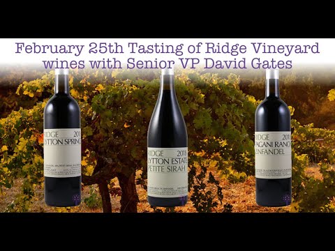 Ridge WineTasting