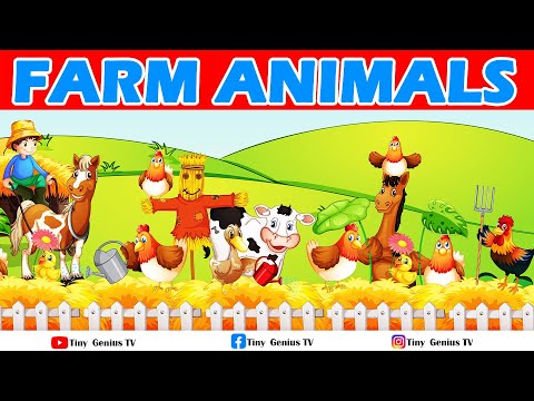 Farmyard Friends: Explore the World of Farm Animals