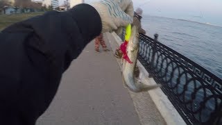 Рыбалка на саратовской набережной