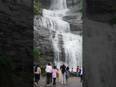 #cheeyapara waterfalls #kerala #munnar