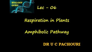 Lec - 06|Amphibolic Pathway|Respiration in Plants| Class 11 | Target NEET 2021 |Dr U C PACHOURI