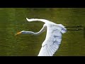 So far away - Michael Hoppe