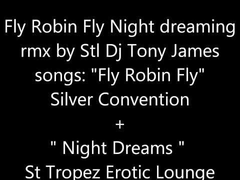 Steppers Blend: Fly Robin Fly Night Dreaming by StL Dj Tony James