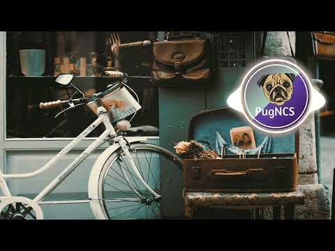 Jazzaddict's Intro – Cosimo Fogg (201) (No Copyright Music)
