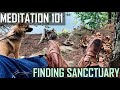 Meditation 101: Finding Sanctuary