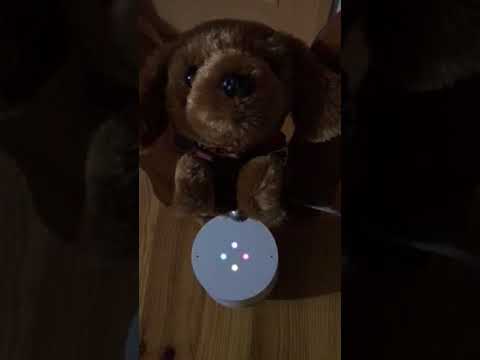 会計学科 ‪オッケーGoogle が凄い日本語に対応！こんばんは！今日のニュース！Google Homeに問いかけると！木村勝則滋賀県高島市！