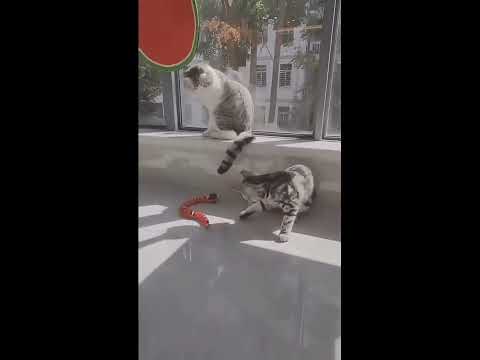 Smart Sensing Snake Interactive Cat Toys. Automatic Toys For Cats. Kitten Toys .Link in description.