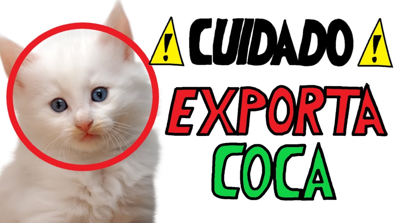 LA HISTORIA DEL MAYOR MERCADO NEGRO DE LA DEEP WEB Y DARK WEB SILK ROAD