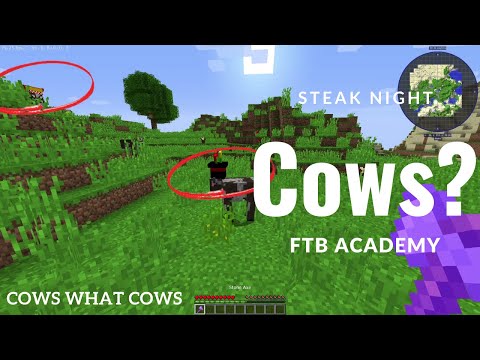 Cows What Cows? FTB Academy Episode 1 Let's Play