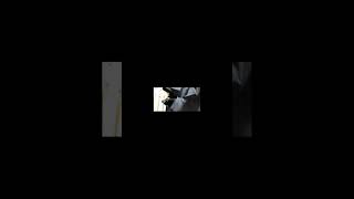 【#TheBeginning】【#ワンオク】【#shorts】【#永久機関】#完全感覚Dreamer プロフよりYouTube へ飛べます！#ワンオク #ワンオク好きと繋がりたい #ワンオクロック