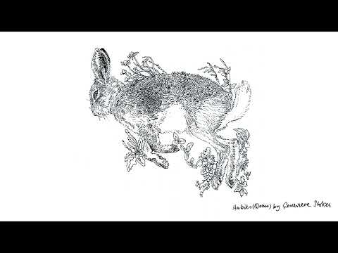 Genevieve Stokes - Habits (Demo)  [Official Audio]