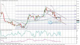 USD/JPY (Dollar Yen) Technical Analysis for May 16 2014