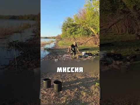 СТРАННАЯ РЫБКА @olga__den___