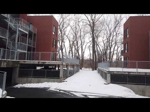 St Remi/Walnut - Video 7 of 8