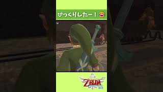 背後に立たないで😂#ゼルダの伝説 #スカイウォードソードhd #スカイウォードソード #スカウォ #ゼルダ