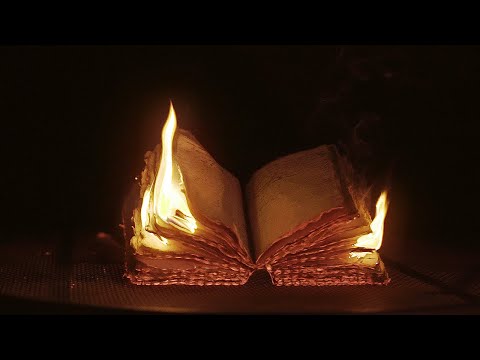 History - Casey Breves