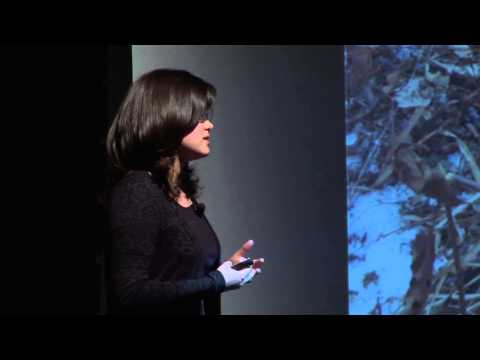 Why Conservation?: Annette Kjell at TEDxYouth@DAA