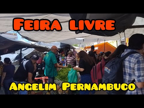 Feira livre de Angelim Pernambuco 05/11/2025 #frutas #verduras #preços#baixos #conteudo#viral