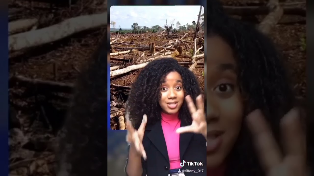 Problemas Ambientais