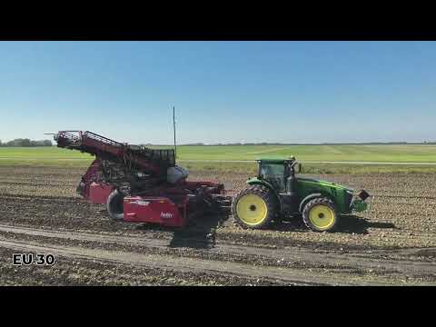 Mark Holy Sugarbeet Harvest Bee 2025