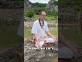 A Quote By Mahavatar Babaji Kriyayoga Babaji Peace Universe Yogapractice Motivation Wisdom
