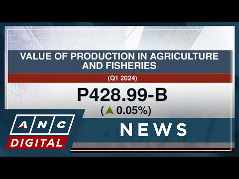 PH agriculture output increases slightly in Q1 2024 ANC