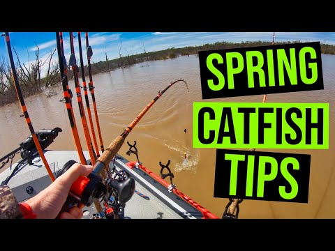 Spring Catfish - Top 10 Tips For Catching Catfish This Spring