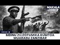 MAPINDUZI YA ZANZIBAR 1964 SABABU ZA KUANGUSHWA KWA SULTAN WA ZANZIBAR