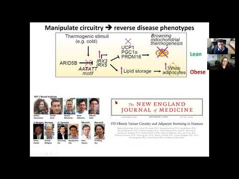 2020 11 04 12 00 Wed12pm Stowers Genomics Manolis Kellis