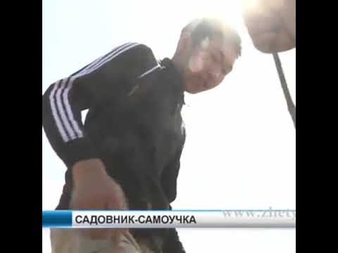 Участник 8384, fssDiPi9PMM