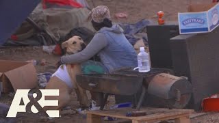 Live Rescue: Dog-Eat-Dog World (Season 2) | A&amp;E