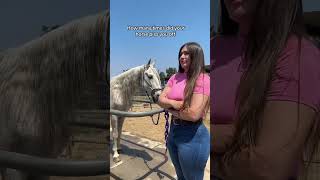 デカいな！爆乳ちゃん