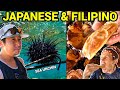 JAPANESE FILIPINO SEAFOOD CATCH and COOK! Best Sea Urchin Recipe? (Philippines Vlog)