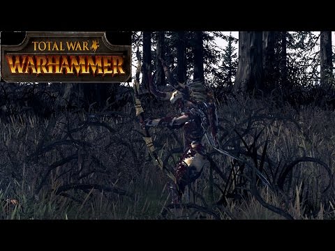 Waldelfen vs. Tiermenschen - Total War Warhammer - Online Battle (34) [Deutsch]