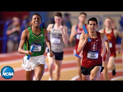 Notre Dame men win DMR at 2019 NCAA Indoor Track and Field Championships