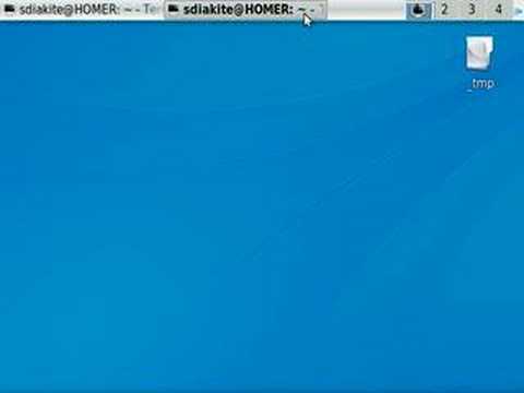Display bug on compiz-fusion / KDE