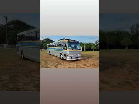 Red bus fest 1ªedição Artur Nogueira SP 61