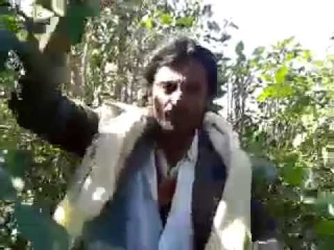 يمني ملحوس مخه يرسل تحياته للمعجبين