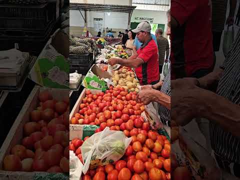 Feira do Produtor | São José do Rio Pardo/SP