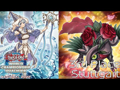 3rd Place WCQ Regional Stuttgart - BASED - Daniel H.