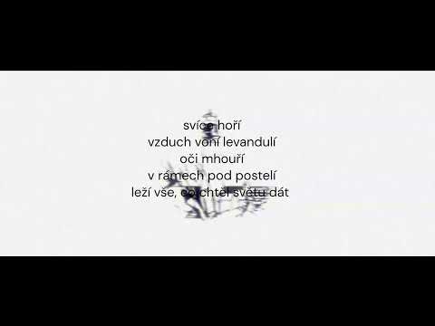 Roman Hampacher - Roman Hampacher - Terpentýn s levandulí (Črty 2024)