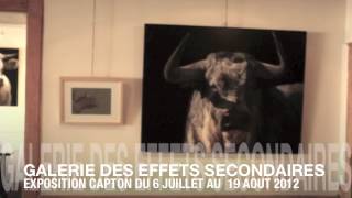 preview picture of video 'EXPOSITION DU PEINTRE CAPTON À LA GALERIE-CAFÉ LES EFFETS SECONDAIRES'