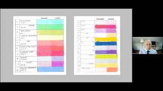 IAPS ASTM Pastel Standard