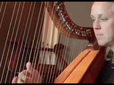 ‘Nil na La” (from "My Little Irish Harp Book p.29) performed live at a drinks reception