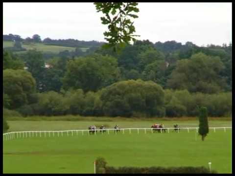 NE, 21. 8. 2016, 1. dostih - HANDICAP PROSTOR-DESIGN s.r.o.