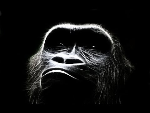beach house-minimal-deep-tech-progressive = House  beat goes on (Hi-Re)
