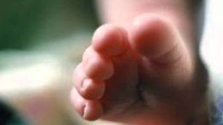 Mi Pequeño Tesoro Presuntos Implicados